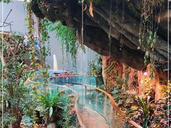 -正佳雨林生态植物园