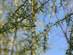 -酷鱼垂钓CLUB(朝阳区博大路店 )