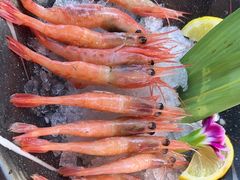 -牛武士寿喜烧·和牛火锅自助(全球首店)