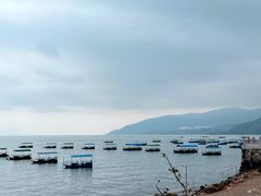 -抚仙湖禄充风景区