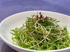 -华膳楼·安徽地标美食·中华餐饮名店(文化公园店)