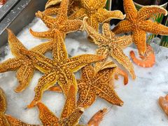 -昆山裕元花园酒店·温莎西餐厅