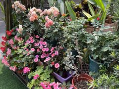 -山水茶艺馆·点心粤菜·30年老字号