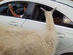 -南京金牛湖风景区
