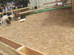 -HERRE·FARM 赫尔露营农场·团建聚会包场