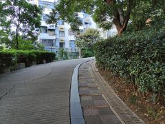 -北极阁公园