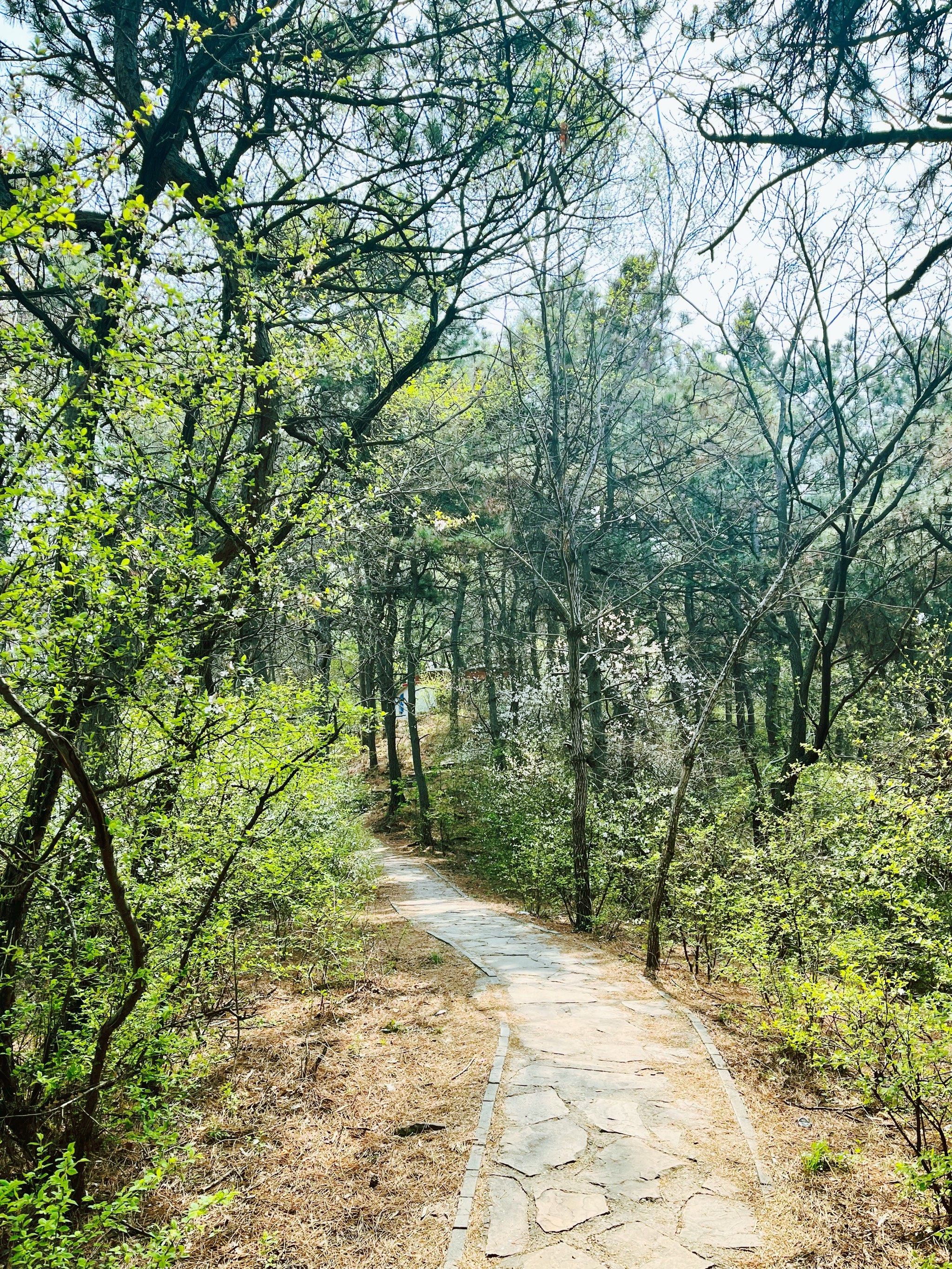 一亭一碑一吊桥,俯瞰城市全貌的城中公园