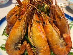 熟醉罗氏虾-维园悦谱·海派家常菜(乌鲁木齐南路店)