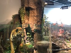 -陕西自然博物馆