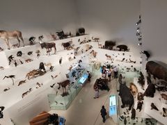 -墨尔本博物馆(Melbourne Museum)