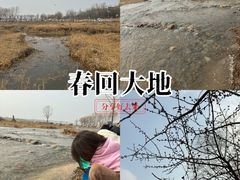 -绿堤公园