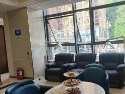 -碧莲盛·不剃发植发