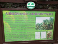 -大屏嶂森林公园