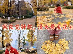 -百林公园-两江幸福广场