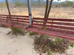 -天适樱花悠乐园