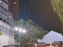 -九龙公园