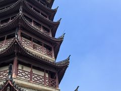 -观潮胜地公园