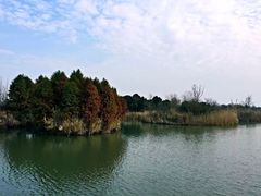 -梁鸿国家湿地公园