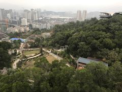 -金鸡山公园