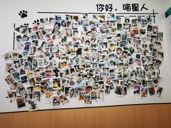 -瑞派·关忠动物医院·猫专科·犬专科(三环新城店)