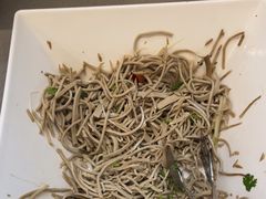 -蝎王府羊蝎子(北大地店)