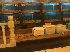 -澳门豆捞(织里店)