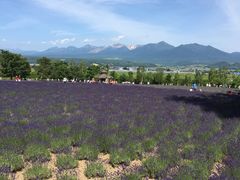 -富田农场