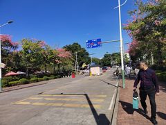 -风云岭森林公园