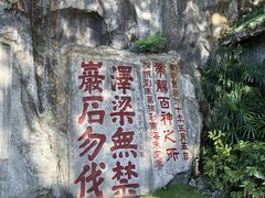 -星湖旅游景区七星岩