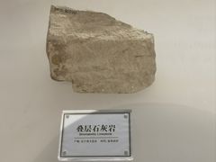 -辽宁古生物博物馆