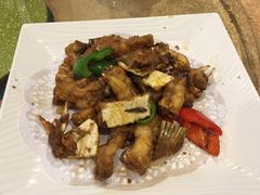 -绿华园休闲山庄