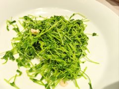 -小京华楼·京味斋(三元桥国展店)