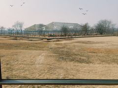 -盘龙城国家考古遗址公园