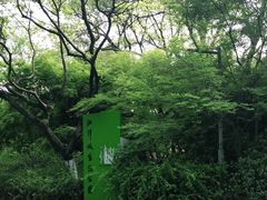 -西湖风景区-江洋畈生态公园