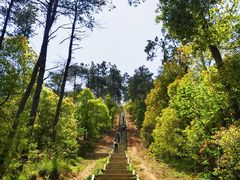 -青龙山国家森林公园