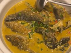 -后湖小院·乡野田园菜