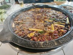 -费明中罗非鱼(大石坝店)