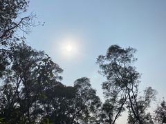 -深圳仙湖植物园