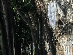 -集美学村
