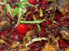 -老板恋上鱼(恒隆广场店)