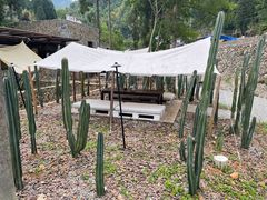 -MOJ coffee(瓯海泽雅水碓坑店)