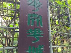 -深圳国际园林花卉博览园