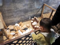 -酷嗒动物文化乐园(cutezoo西溪乐天城店)