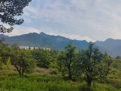 -终南山南五台景区