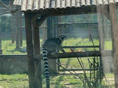 -石家庄市动物园