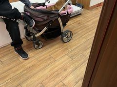 -瑞派·关忠动物医院·异宠专科·犬猫肿瘤·皮肤专科(望京店)