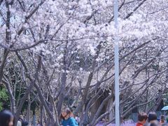 -白塘生态植物园