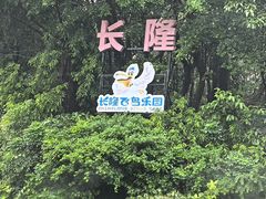 -广州长隆飞鸟乐园