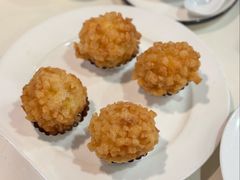 -丁老爷子苏香圆