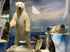 -国家自然博物馆